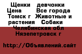 Щенки - девчонки › Цена ­ 2 - Все города, Томск г. Животные и растения » Собаки   . Челябинская обл.,Нязепетровск г.